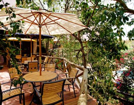 Masai Mara Sopa Lodge, Kenya 6 africa tours