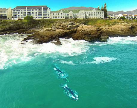 Hotel Windsor Hermanus sydafrika 3 africa tours