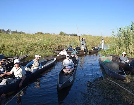 sejltur botswanasafari africa tours