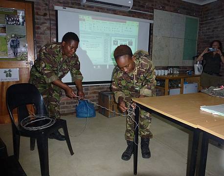 black mambakvinder africa tours