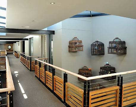 Knysna Rex Hotel sydafrika 6 africa tours