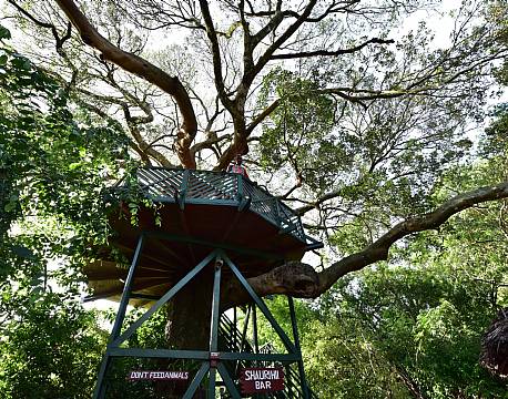 Mara Fig Tree Camp, Masai Mara, Kenya 12 africa tours
