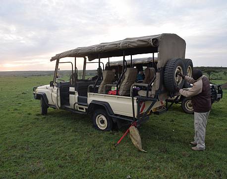 safari åben minibus africa tours