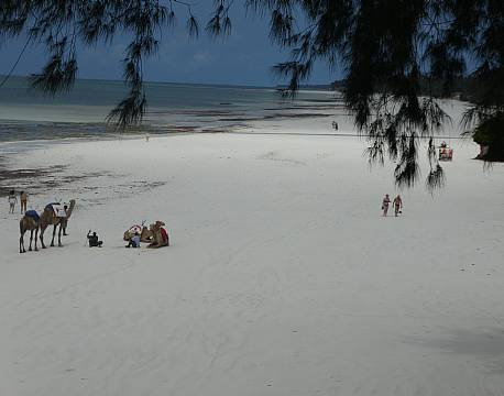 Mombasa Kenya indiske ocean africa tours