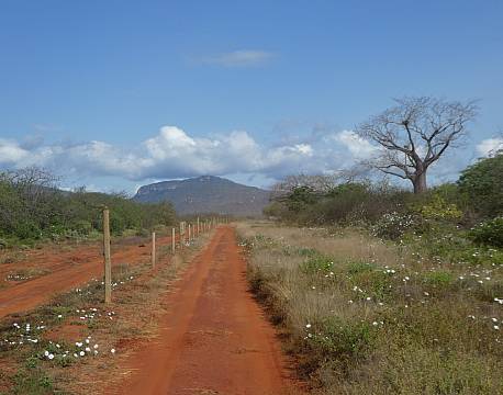 Tsavo Kenya africa tours