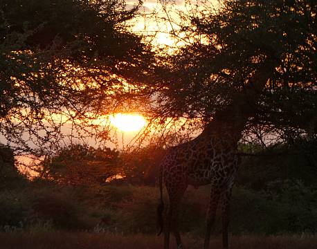 Severin Safari Camp kenya 7 africa tours