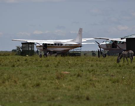 Fly til savannen africa tours