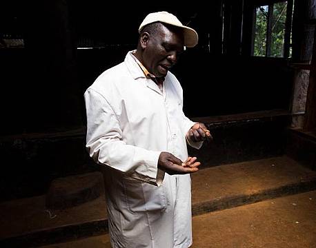 Forarbejdningsproces fra arabica planten til ristet kaffebønne