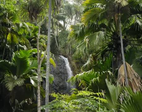 Seværdighed Praslin Seychellerne indisk ocean africa tours