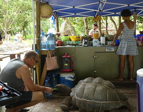 Seværdighed La Digue Seychellerne indiske ocean africa tours