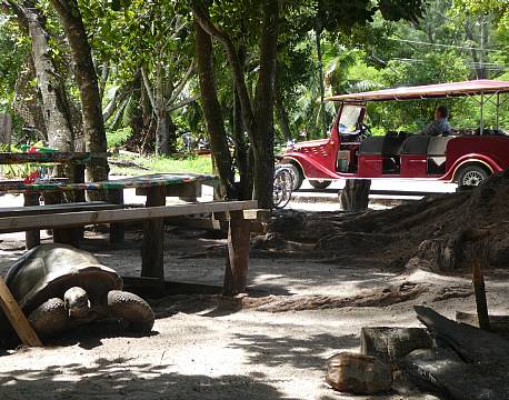 Seværdighed La Digue Seychellerne indiske ocean africa tours