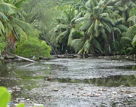Anse Soleil Beachcomber seychellerne 16 africa tours