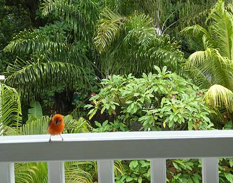 Bord Mer Villa, Seychellerne 4 africa tours