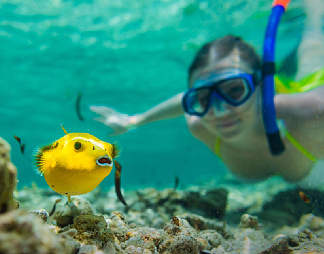 Seværdighed Bird Island indiske ocean africa tours