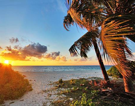 Seværdighed Bird Island indiske ocean africa tours