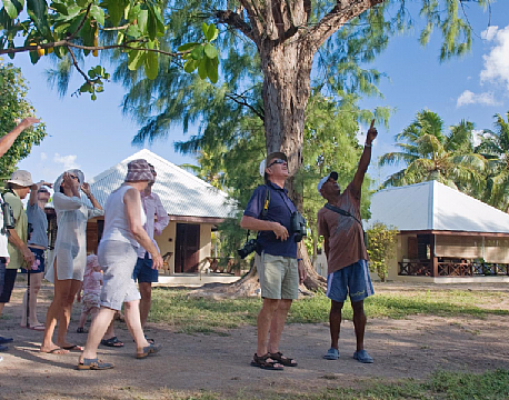 Bird Island lodge seychellerne 9 africa tours