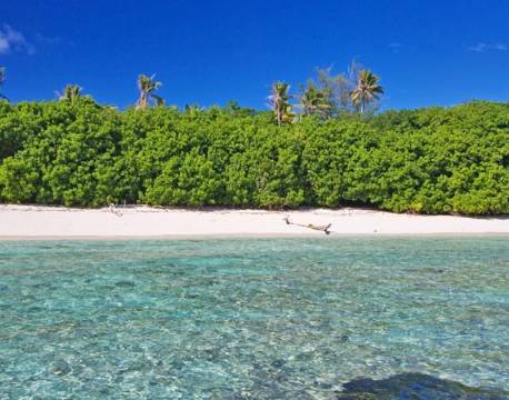 Bird Island lodge seychellerne 17 africa tours