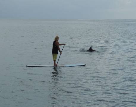 Seværdighed Kilifi, Watamu og Malindi indisk ocean africa tours