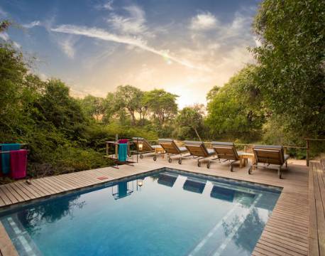 Bateleur, Timbavati sydafrika 12 africa tours