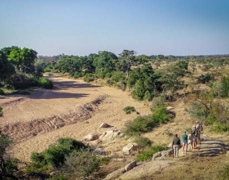 Bateleur, Timbavati sydafrika 15 africa tours