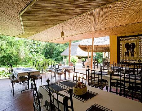 Primate Lodge Kibale Uganda 4 africa tours