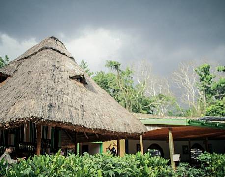 Primate Lodge Kibale Uganda 7 africa tours