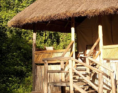 Primate Lodge Kibale Uganda 16 africa tours