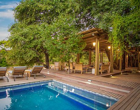 Bateleur, Timbavati sydafrika 1 africa tours