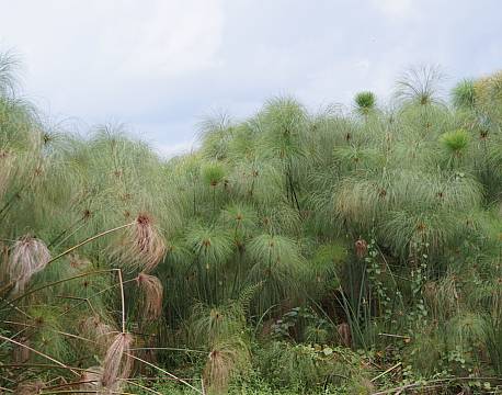 Lake Mburu Uganda africa tours