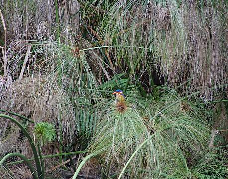 Lake Mburu Uganda africa tours