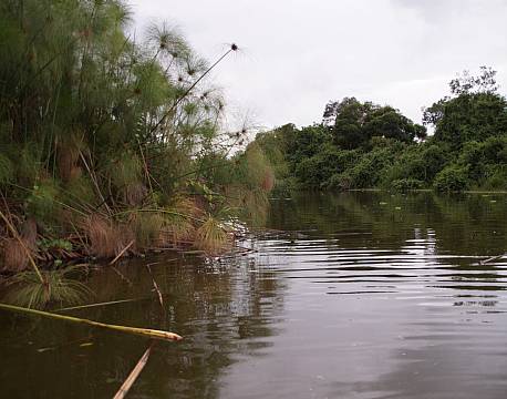 Lake Mburu Uganda africa tours