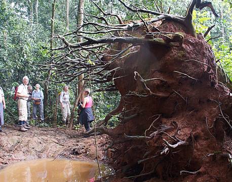 Kibale Uganda africa tours