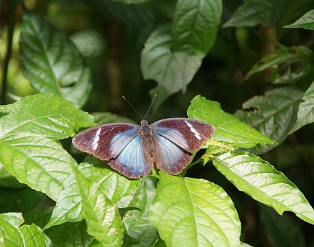 Kibale Uganda africa tours