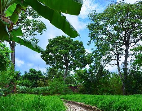 Zuri Zanzibar 15 africa tours