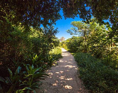 Zuri Zanzibar 24 africa tours