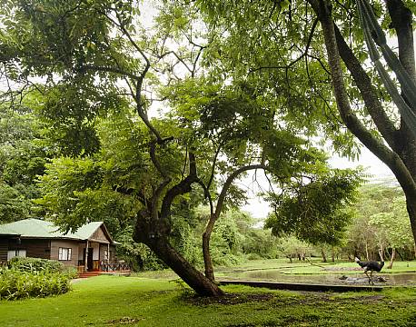 Mount Meru Game Lodge tanzania africa tours