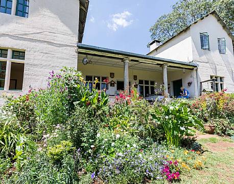 Kiambethu Te Farm kenya africa tours