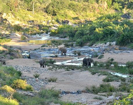 Greenfire Game Lodge sydafrika africa tours