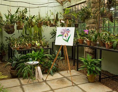 Giraffe Manor kenya 5 africa tours