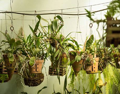 Giraffe Manor kenya 11 africa tours