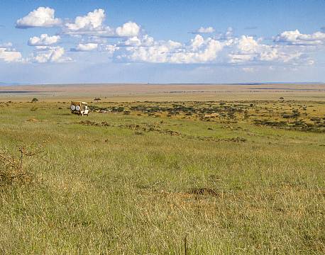 Mara North Conservancy kenya africa tours