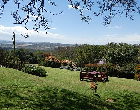 Aberdare højlandet kenya africa tours