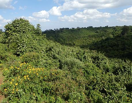 Aberdare højlandet kenya africa tours