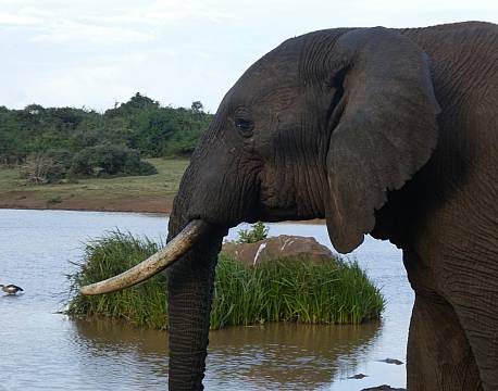 Aberdare højlandet kenya africa tours