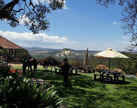 Aberdare Country Club Aberdare Kenya africa tours