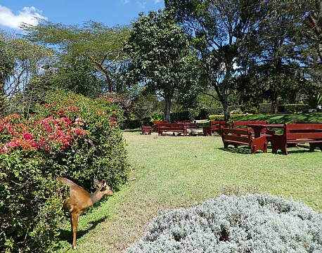 Aberdare Country Club Aberdare Kenya africa tours