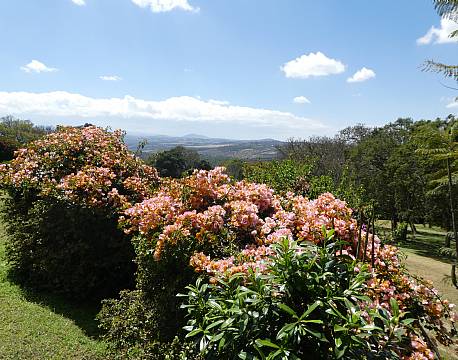 Aberdare Country Club Aberdare Kenya africa tours