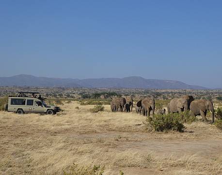 Samburu kenya africa tours