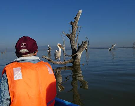 Lake Naivasha kenya africa tours
