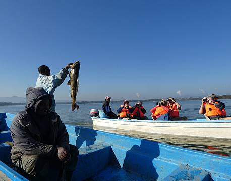 Lake Naivasha kenya africa tours